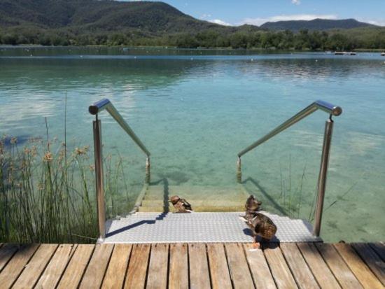 Camping Bungalow El Llac De Banyoles Porqueres Bagian luar foto